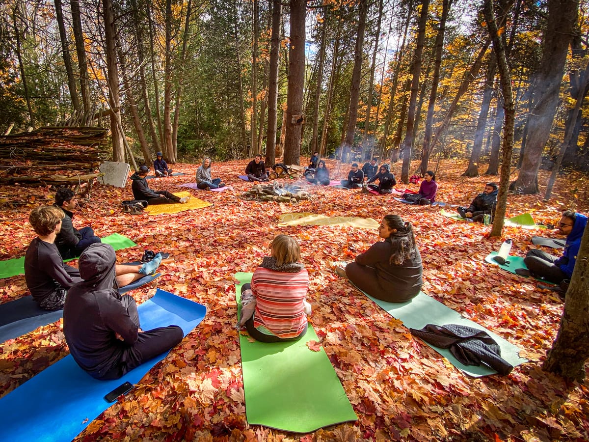 Embracing Movement Outdoors: A Prescription for Holistic Health