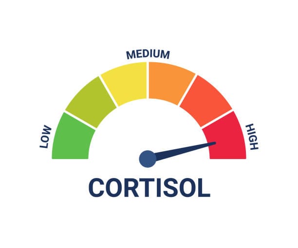 Upwards of 80% of North Americans suffer from some degree of cortisol imbalance, otherwise known as adrenal fatigue.