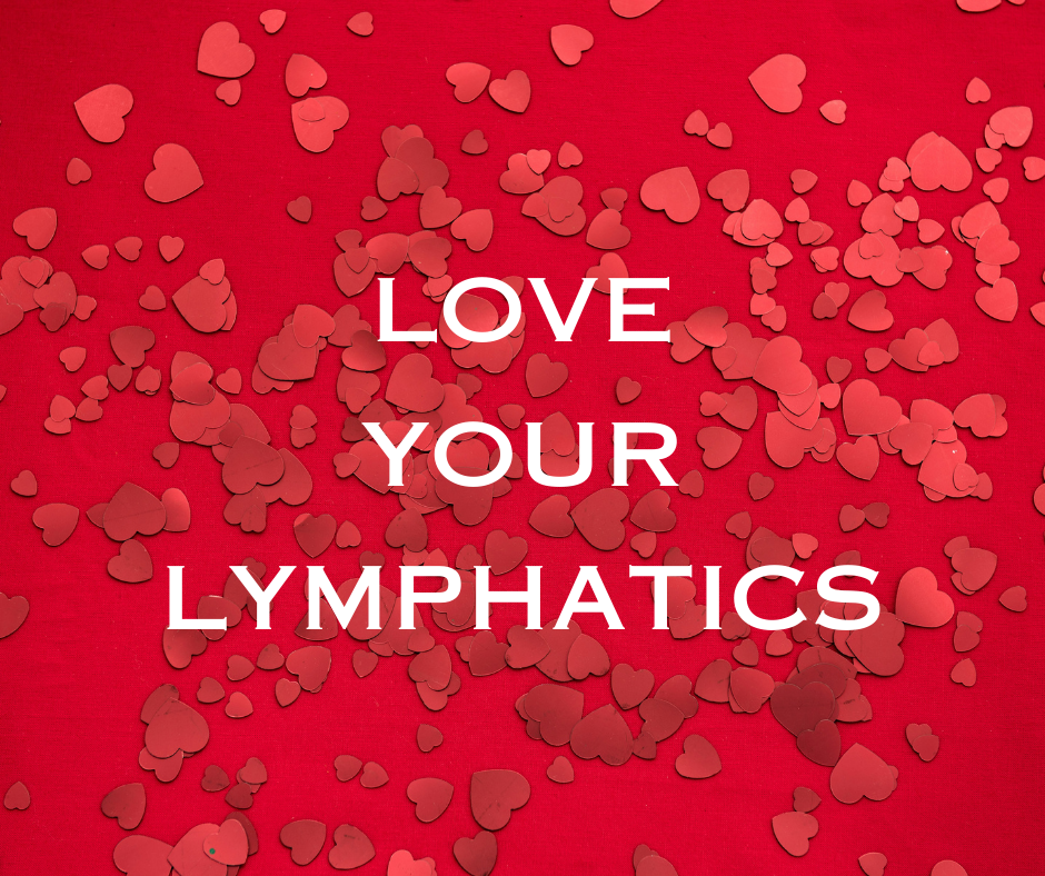 The Unsung Hero: The Lymphatic System (part 2)